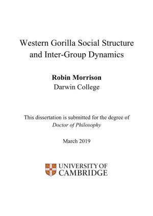 Western Gorilla Social Structure and Inter-Group Dynamics