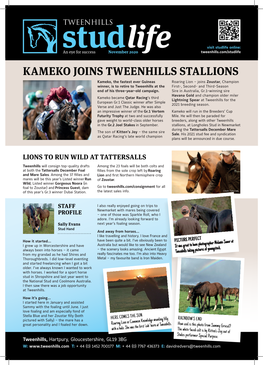 Kameko Joins Tweenhills Stallions