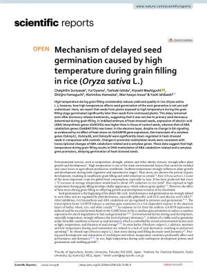 Mechanism of Delayed Seed Germination Caused by High
