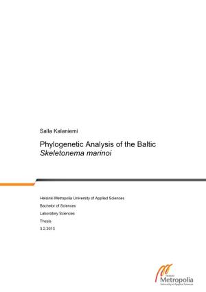 Phylogenetic Analysis of the Baltic Skeletonema Marinoi