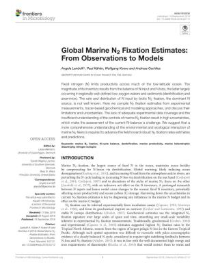 Global Marine N2 Fixation Estimates: from Observations to Models