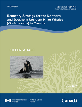 Recovery Strategy for the Northern and Southern Resident Killer Whales (Orcinus Orca) in Canada