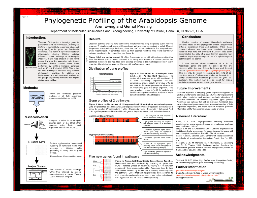 Phylogenetic Profiling of the Arabidopsis Genome