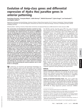 Evolution of Antp-Class Genes and Differential Expression of Hydra Hox͞parahox Genes in Anterior Patterning