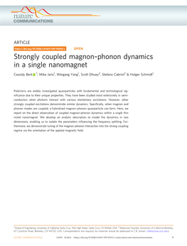 Phonon Dynamics in a Single Nanomagnet