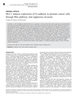 DLC1 Induces Expression of E-Cadherin in Prostate Cancer Cells Through Rho Pathway and Suppresses Invasion