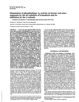 Stimulation of Phospholipase A2 Activity in Bovine Rod Outer