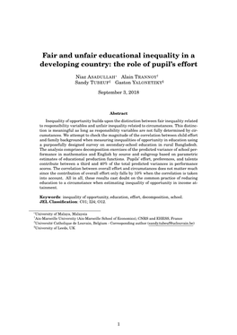 Fair and Unfair Educational Inequality in a Developing Country: the Role of Pupil’S Effort