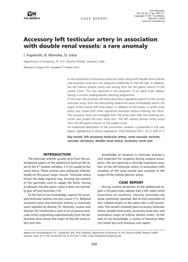 Accessory Left Testicular Artery in Association with Double Renal Vessels: a Rare Anomaly