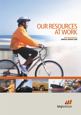 OUR RESOURCES at WORK BHP BILLITON PLC ANNUAL REPORT 2003 Your Company at Work