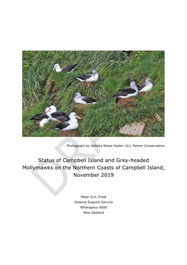 Status of Campbell Island and Grey-Headed Mollymawks on the Northern Coasts of Campbell Island, November 2019