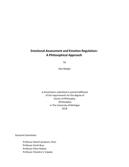 Emotional Assessment and Emotion Regulation: a Philosophical Approach