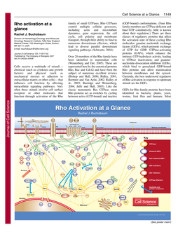 Rho Activation at a Glance Rho Activation at a Glance