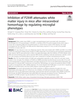 Inhibition of P2X4R Attenuates White Matter Injury in Mice After