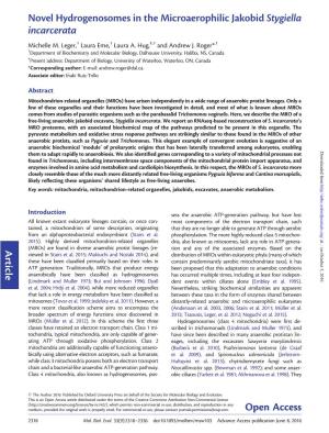 Novel Hydrogenosomes in the Microaerophilic Jakobid Stygiella Incarcerata Article Open Access