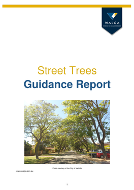Street Trees Guidance Report