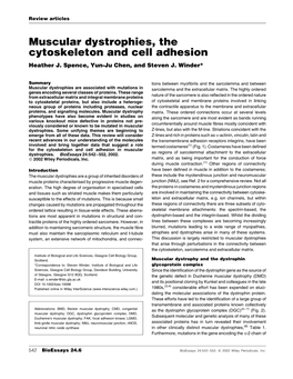 Muscular Dystrophies, the Cytoskeleton and Cell Adhesion Heather J