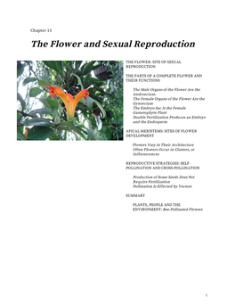Chapter 13: the Flower and Sexual Reproduction