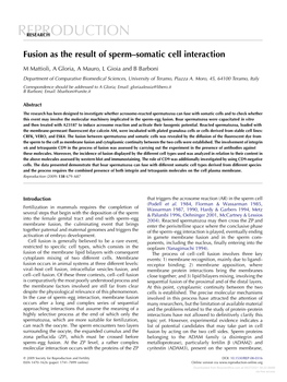 Fusion As the Result of Sperm–Somatic Cell Interaction