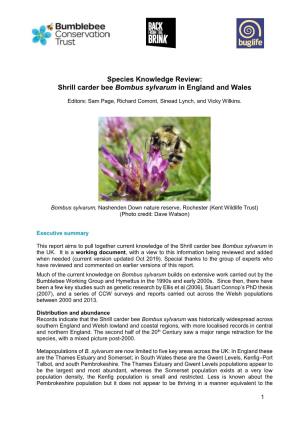 Species Knowledge Review: Shrill Carder Bee Bombus Sylvarum in England and Wales