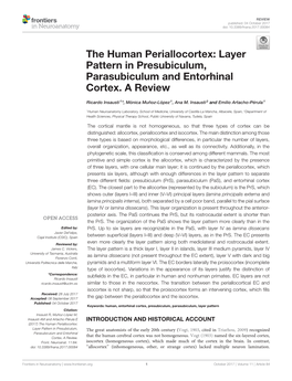 Layer Pattern in Presubiculum, Parasubiculum and Entorhinal Cortex. a Review