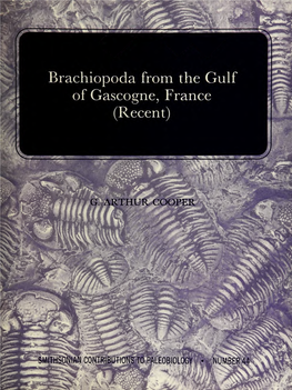 Brachiopoda from the Gulf of Gascogne, France (Recent)
