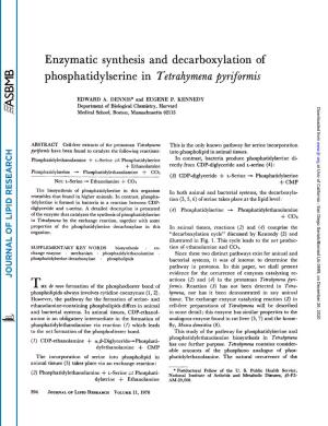 Enzymatic Synthesis and Decarboxylation of Phosphatidylserine in Tetrahymena Pyrzformis