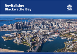 Revitalising Blackwattle Bay