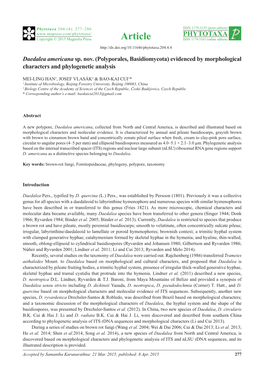Daedalea Americana Sp. Nov. (Polyporales, Basidiomycota) Evidenced by Morphological Characters and Phylogenetic Analysis