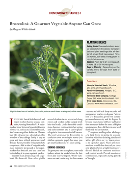 Broccolini: a Gourmet Vegetable Anyone Can Grow by Margene Whitler Hucek