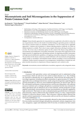 Micronutrients and Soil Microorganisms in the Suppression of Potato Common Scab