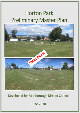 Item 19 Horton Park Master Plan Report
