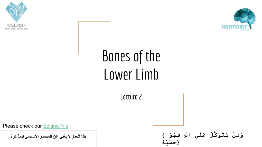 Bones of the Lower Limb