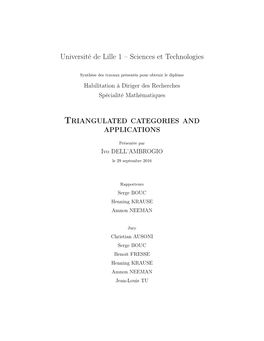 Triangulated Categories and Applications