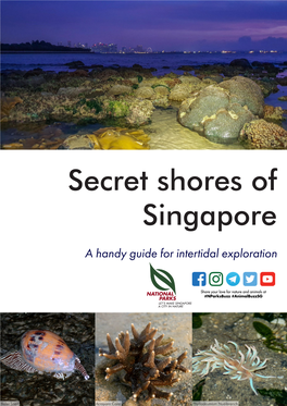 Secret Shores of Singapore