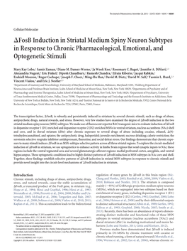Fosb Induction in Striatal Medium Spiny Neuron Subtypes in Response to Chronic Pharmacological, Emotional, and Optogenetic Stimuli