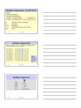 Multiple Alignments: CLUSTALW * Identical : Conserved Substitutions