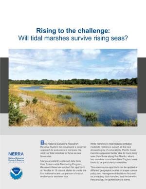 Rising to the Challenge: Will Tidal Marshes Survive Rising Seas?