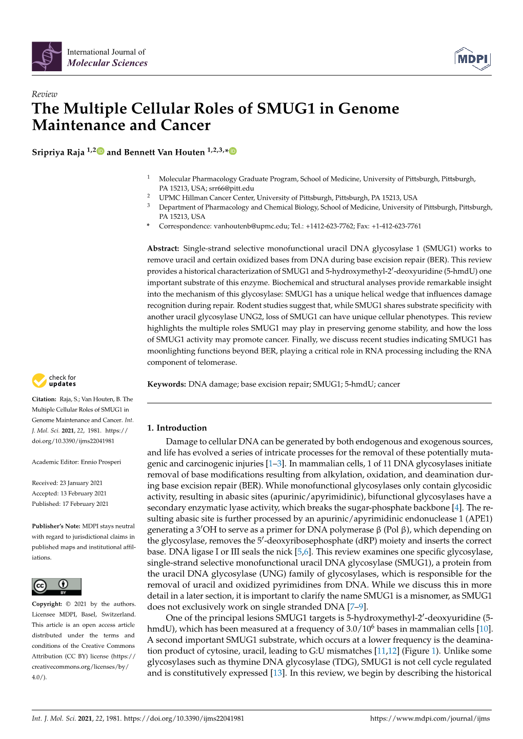 The Multiple Cellular Roles of SMUG1 in Genome Maintenance and Cancer