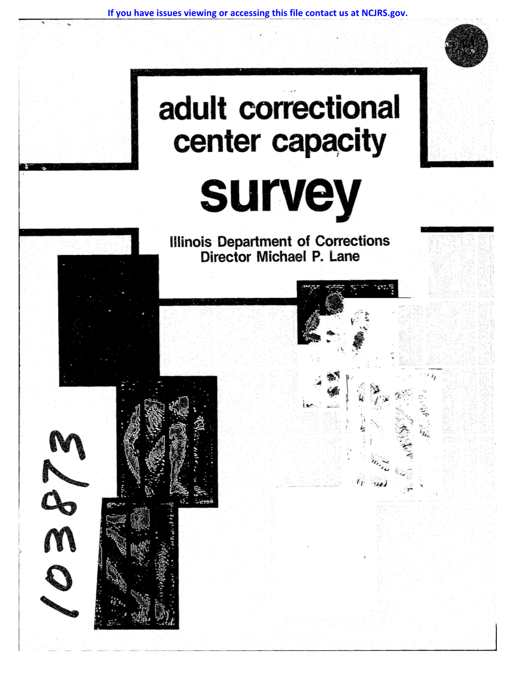 Adult Correctional Center Cap~City Survey Illinois Department of Corrections Director Michael P