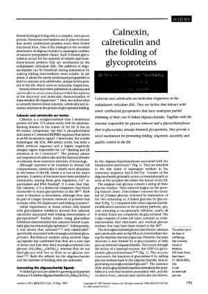 Calnexin, Calreticulin and the Folding of Glycoproteins