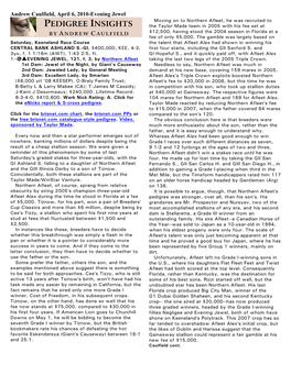 PEDIGREE INSIGHTS the Taylor Made Team in 2005 with His Fee Set at by ANDREW CAULFIELD $12,500, Having Stood the 2004 Season in Florida at a Fee of Only $5,000