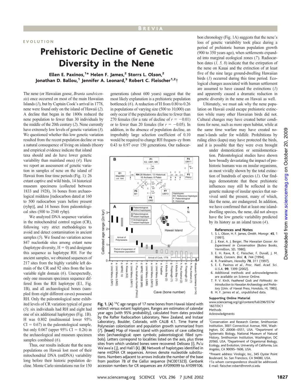 Prehistoric Decline of Genetic Diversity in the Nene