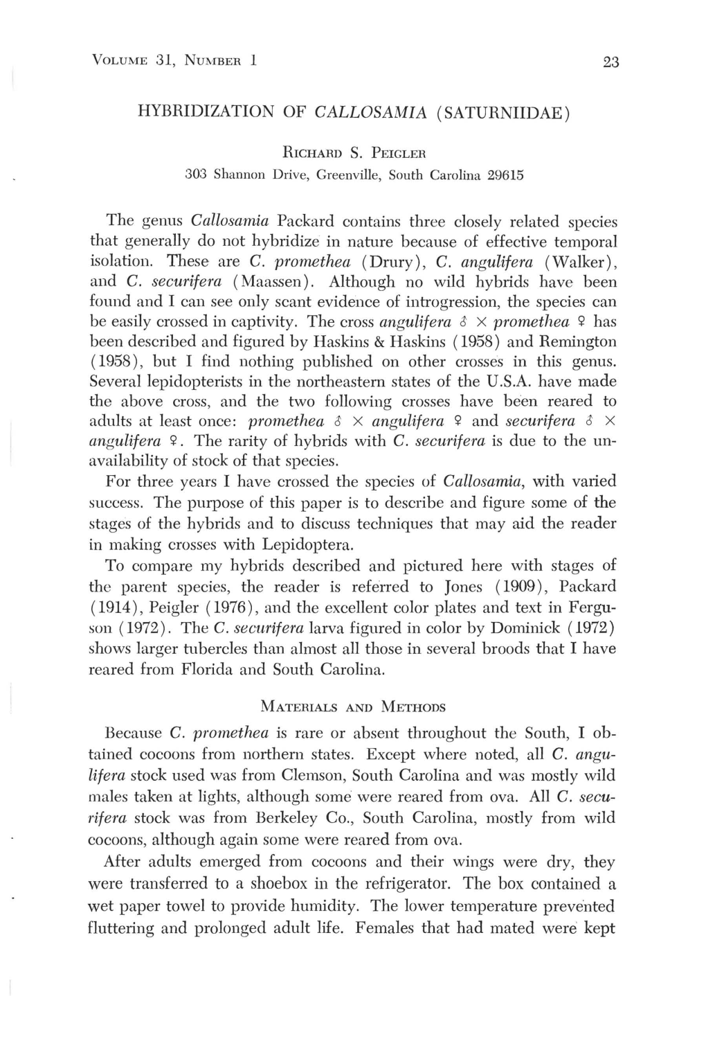 23 HYBRIDIZATION of CALLOSAMIA (SATURNIIDAE) the Genus Callosamia Packard Contains Three Closely Related Species That Generally