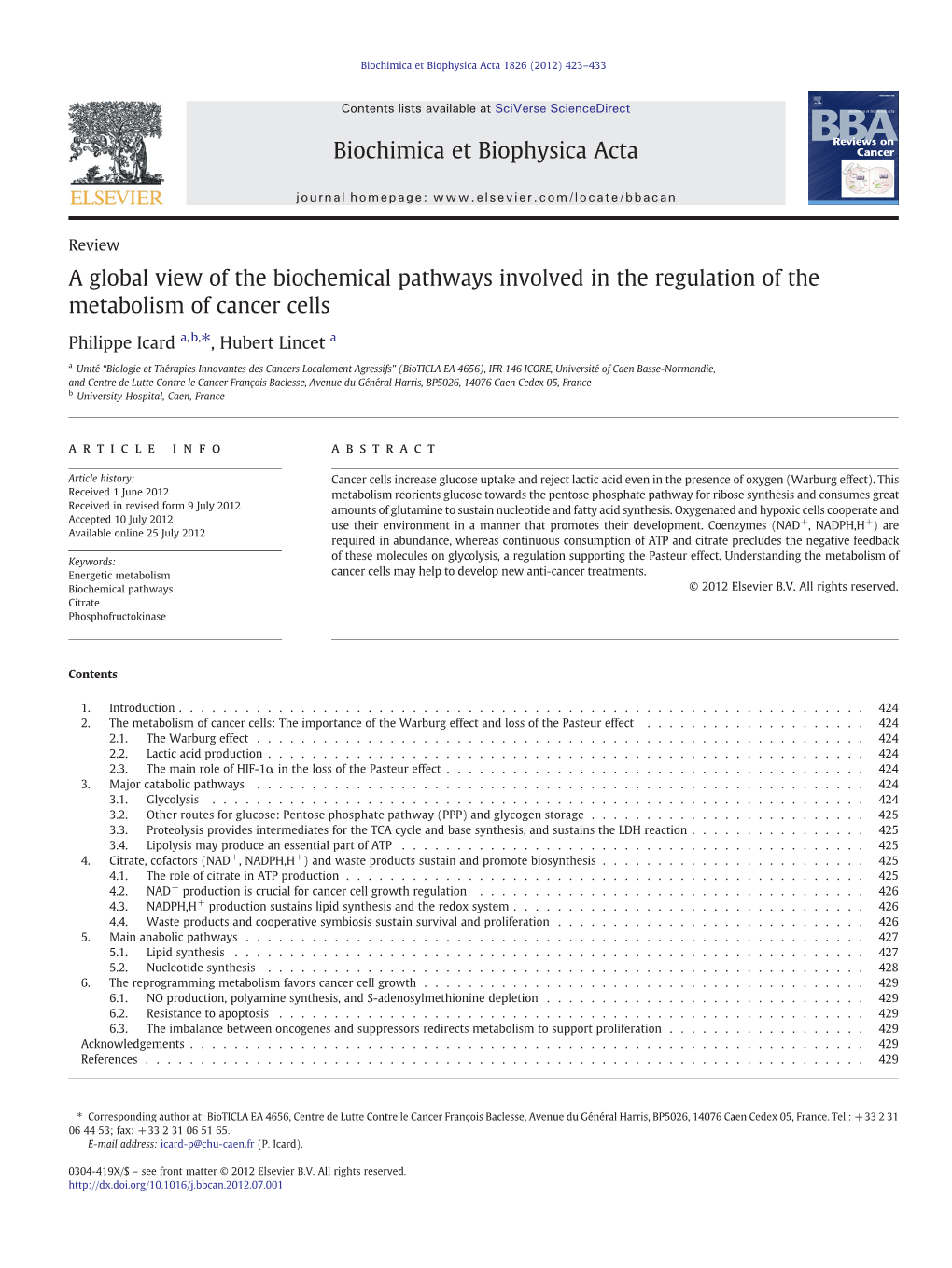 A Global View of the Biochemical Pathways Involved in the Regulation of the Metabolism of Cancer Cells