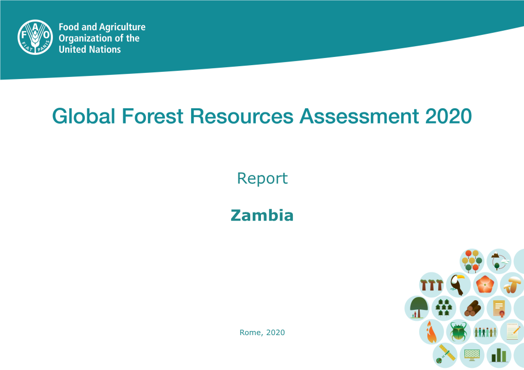 Global Forest Resources Assessment (FRA) 2020 Zambia