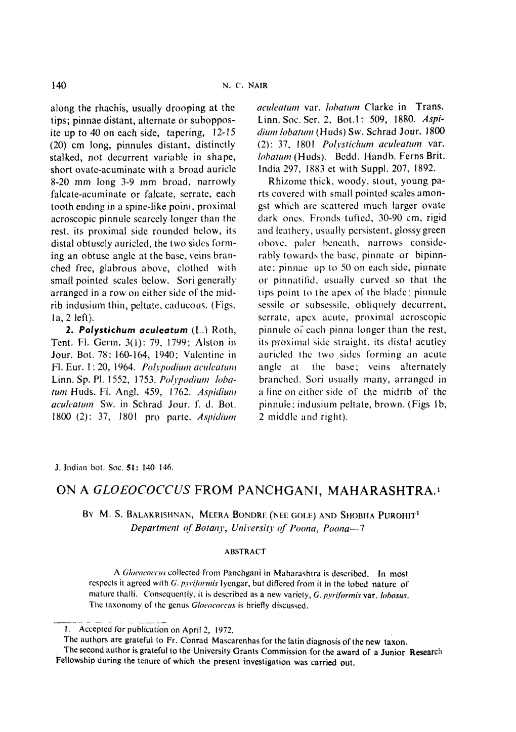 On a Gloeococcus from Panckgani, Maharashtra.'