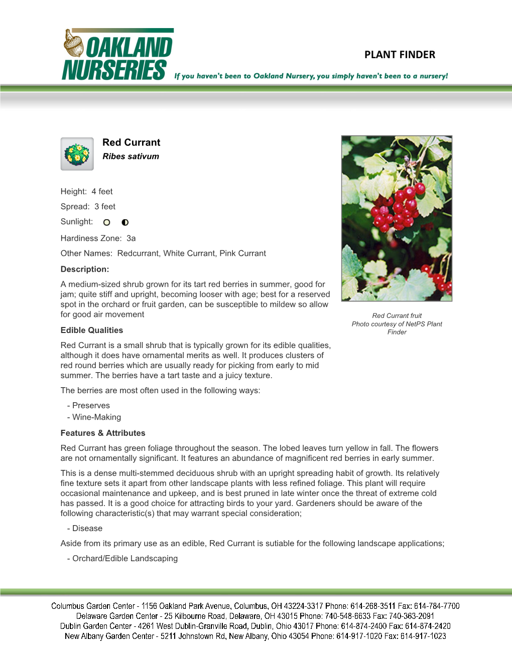 Oakland Nurseries Inc Red Currant