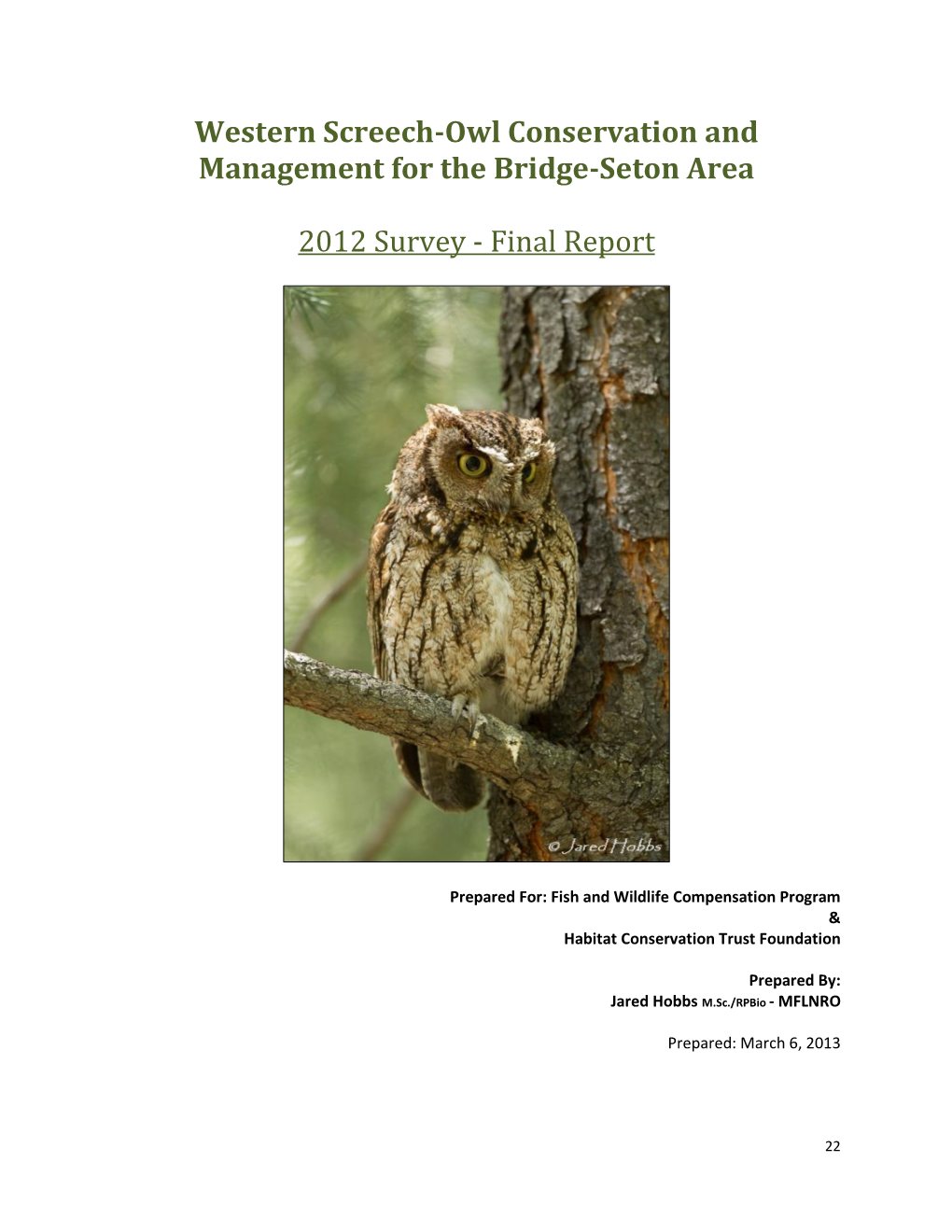 Western Screech-Owl Conservation and Management for the Bridge-Seton Area