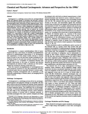 Chemical and Physical Carcinogenesis: Advances and Perspectives for the 1990S1